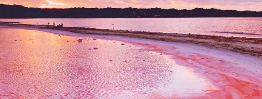 15 fotos aéreas fantásticas do lago rosa da Austrália