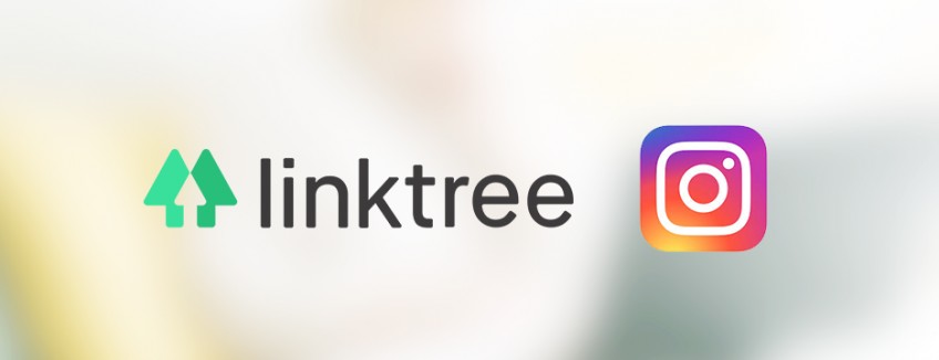 Como criar um Linktree e ter vários links na bio do Instagram
