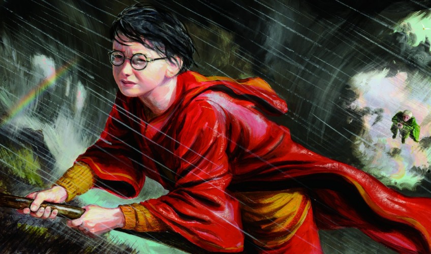 Harry Potter Edição Ilustrada