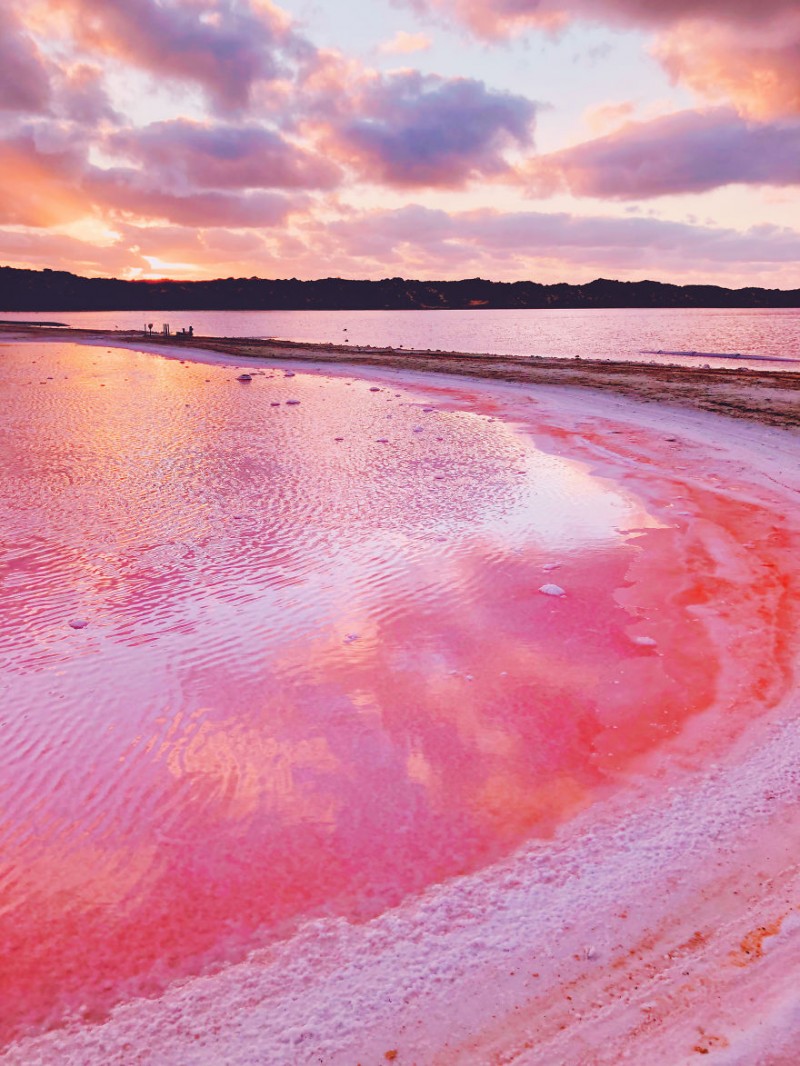 Lago rosa, Hutt Lagoon, AustrÃ¡lia Kristina Makeeva