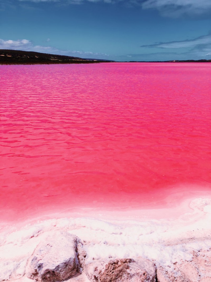 Lago rosa, Hutt Lagoon, AustrÃ¡lia Kristina Makeeva