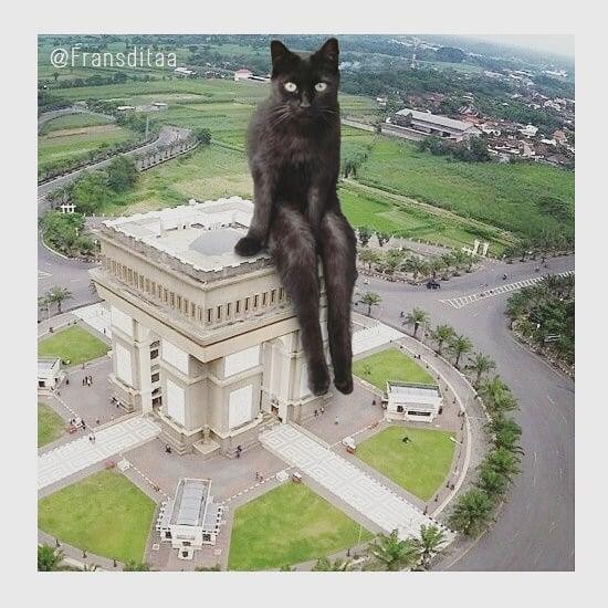 Catzilla Montagem divertida de Gato Gigante invadindo a cidade