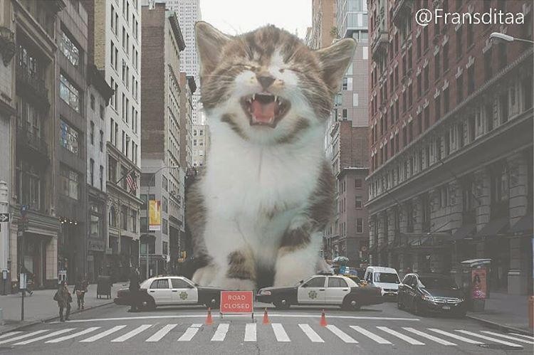 Catzilla Montagem divertida de Gato Gigante invadindo a cidade