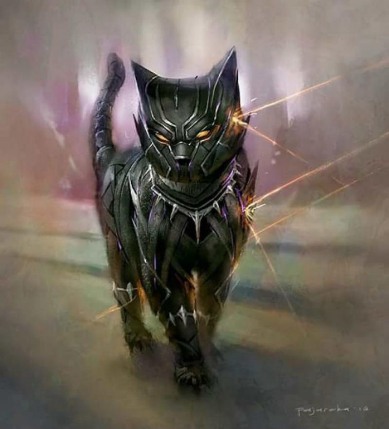 Pantera Negra Gato