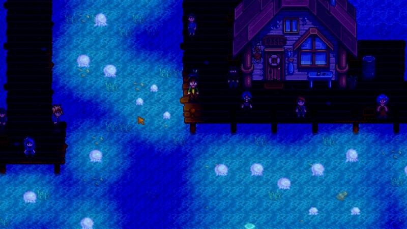 Stardew Valley, Dance of the Moonlight Jellies.